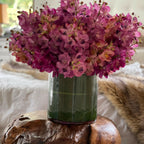 Mixed Mokara Orchids in Large Rotating Cylinder
