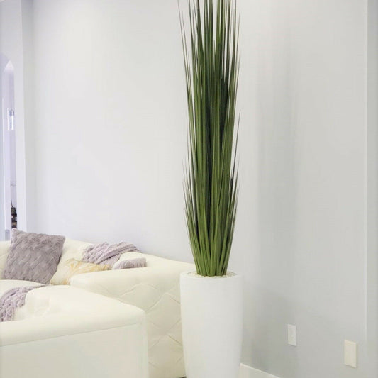 Large Dax Vase with Rush Grass
