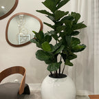White Globe Vase 30" with Fiddle Tree