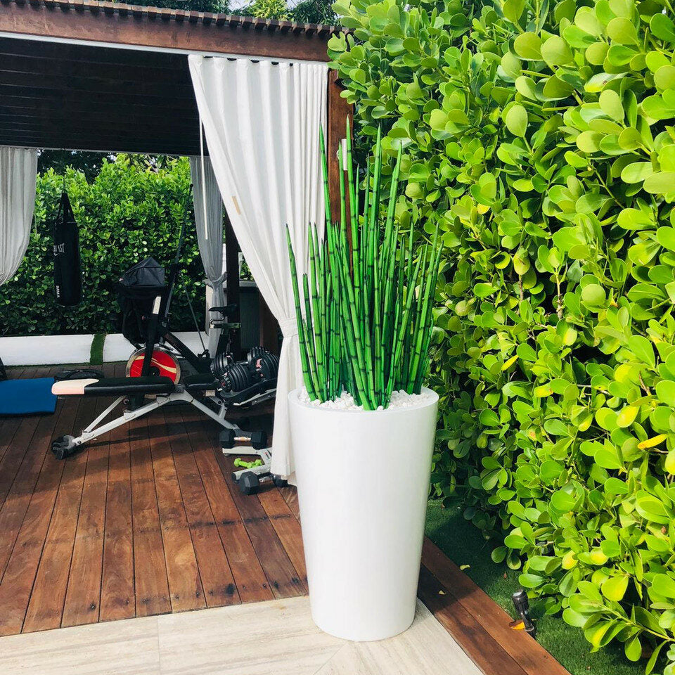 Cobra Grass Planter (4 Feet) with Belle L