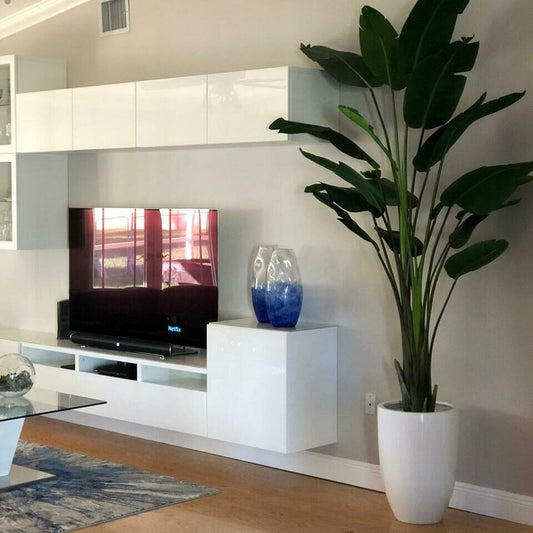 9-Foot Bird of Paradise with Shiny White Pot