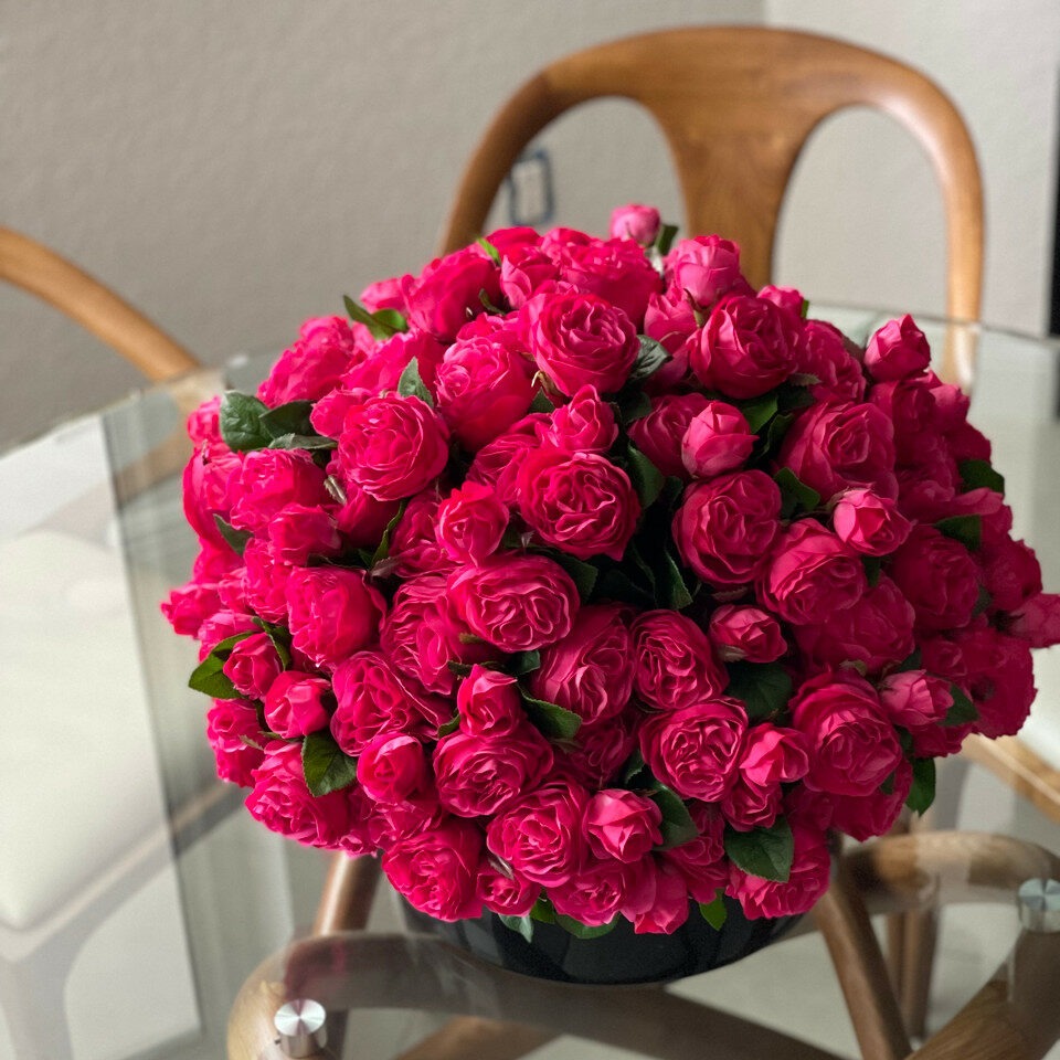 Dark Pink English Roses in Black Glass Vase