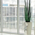 Stainless Steel Cube Planter with Snake Grass