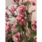 Pink Magnolia Tree in Pot St. Tr. Bright White Release