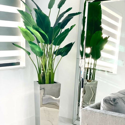 Bird of Paradise Plant (2.1 m) in Stainless Steel Cube Vase – Size M