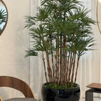 Black Terragona Pot with Lady Palm