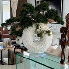 Large Eternity Vase with Hanging Bonsai and Floating Wood