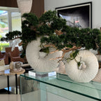 Large Eternity Vase with Hanging Bonsai and Driftwood