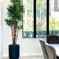 XL Black Pot Palm Tree