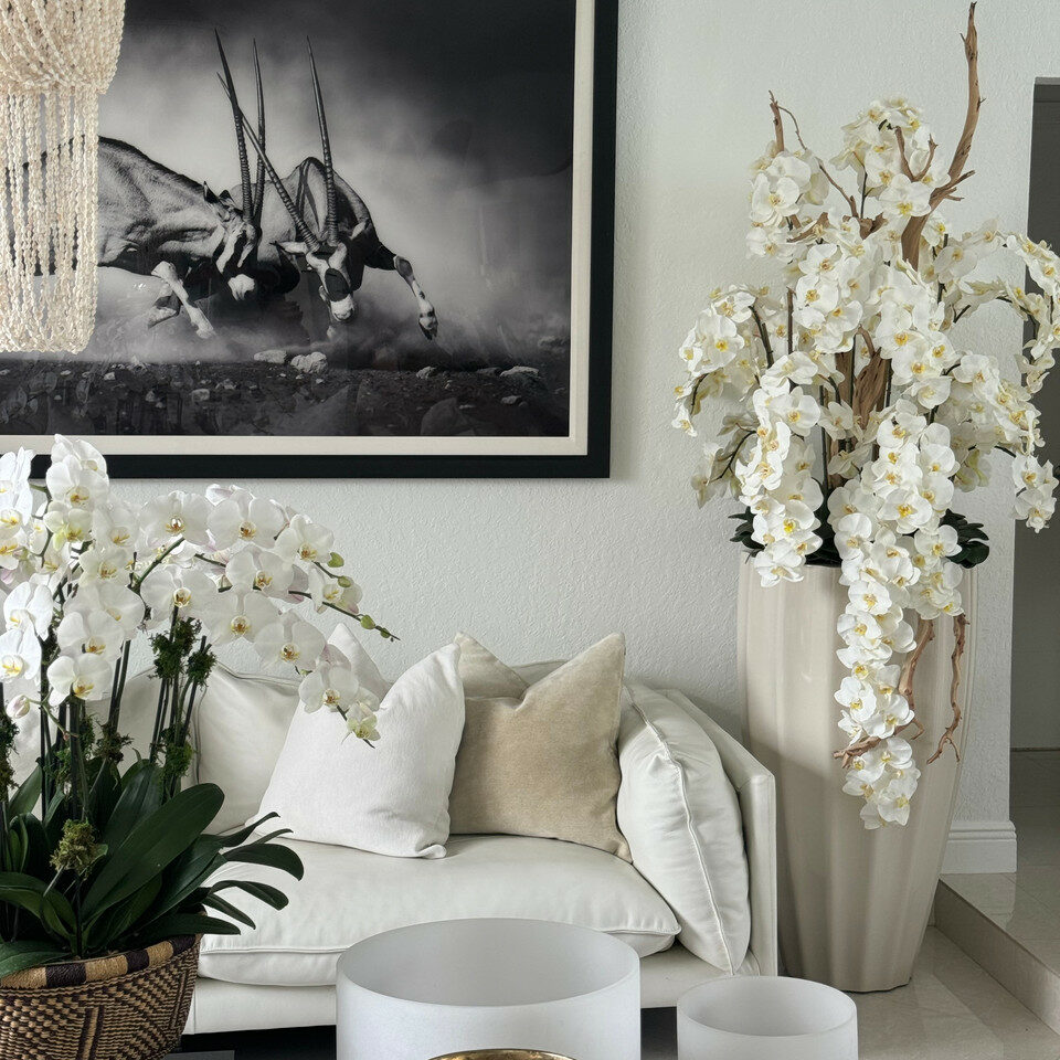 San Jose Vase in sandy Beige with white orchids in waterfall design