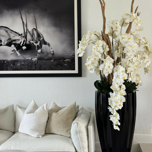 Shiny Black San Jose Vase with Cascading White Orchids