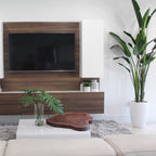 Bird of Paradise Plant (2.7 m) with Ben Planter in Glossy White
