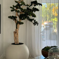 Bonsai Tree in Globe-Shaped Planter – 180 cm, Satin Beige