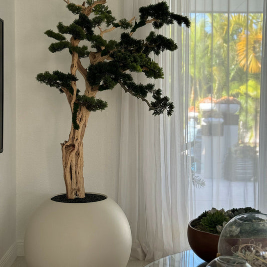 Bonsai Tree in Globe-Shaped Planter – 180 cm, Satin Beige
