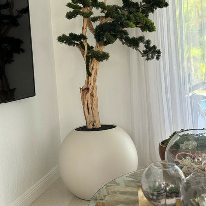 Bonsai Tree in Globe-Shaped Planter – 180 cm, Satin Beige