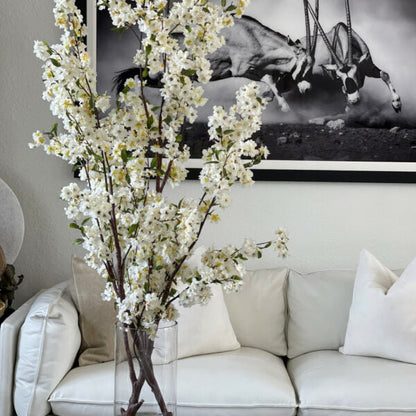 Cherry Blossoms in 40 cm Glass Cylinder