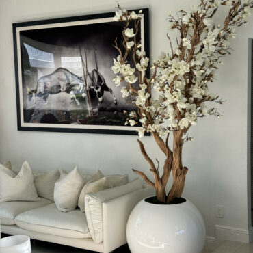 White magnolia tree in shiny white globe pot 30″