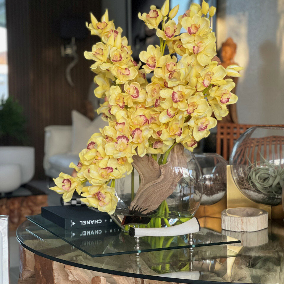 Yellow Cymbidiums in Lunar Pot