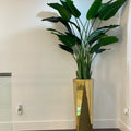 Golden Prism Planter with Bird of Paradise Plant (2.1 m)