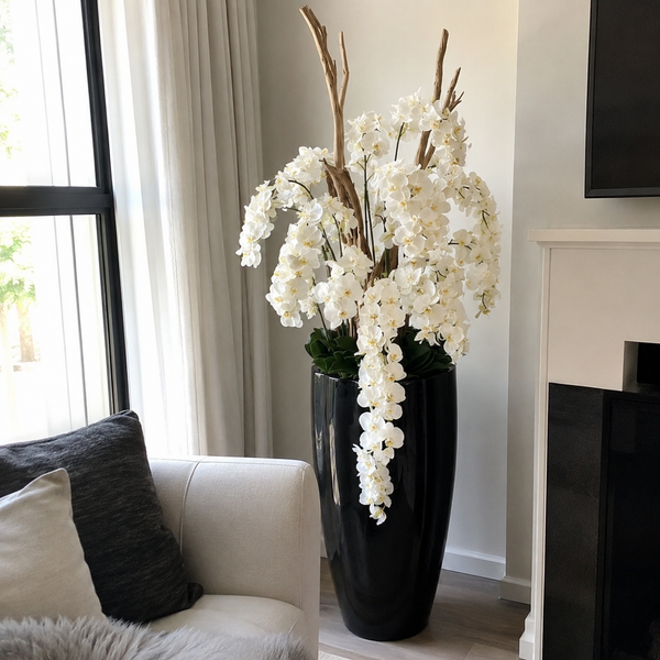 Thomas K. review photo